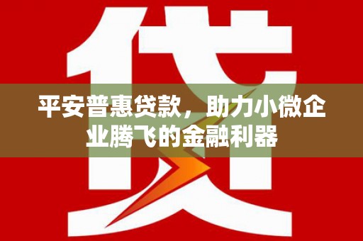江华平安普惠贷款，助力小微企业腾飞的金融利器