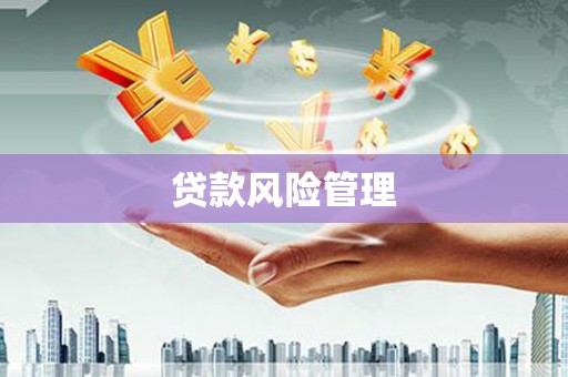 江华贷款风险管理