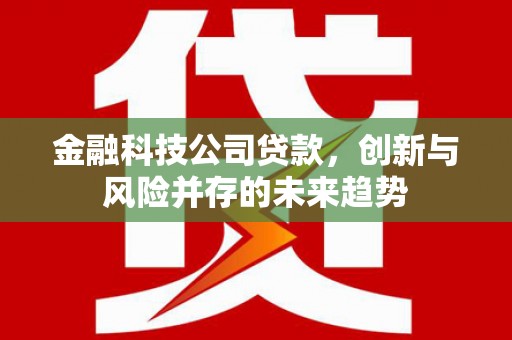 江华金融科技公司贷款，创新与风险并存的未来趋势