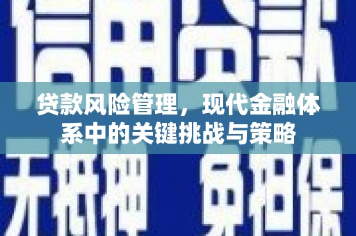 江华贷款风险管理，现代金融体系中的关键挑战与策略