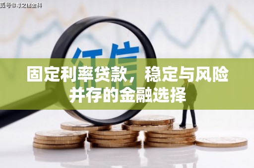 江华固定利率贷款，稳定与风险并存的金融选择