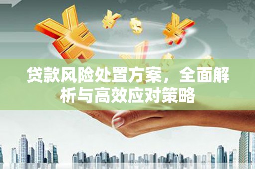 江华贷款风险处置方案，全面解析与高效应对策略