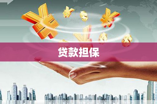 江华贷款担保
