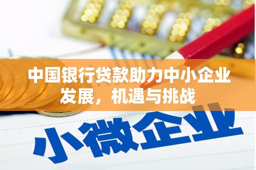 江华中国银行贷款助力中小企业发展，机遇与挑战