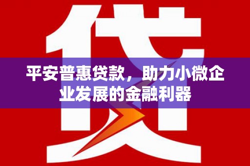 江华平安普惠贷款，助力小微企业发展的金融利器