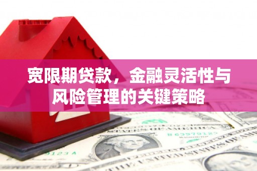 江华宽限期贷款，金融灵活性与风险管理的关键策略