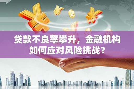 江华贷款不良率攀升，金融机构如何应对风险挑战？