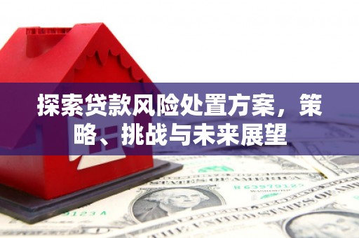 江华探索贷款风险处置方案，策略、挑战与未来展望