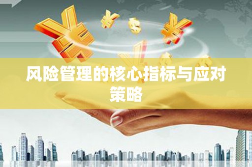 江华风险管理的核心指标与应对策略