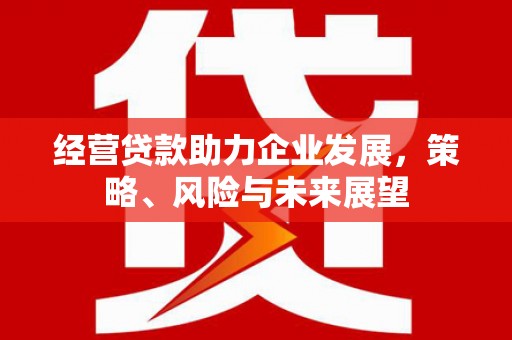 江华经营贷款助力企业发展，策略、风险与未来展望