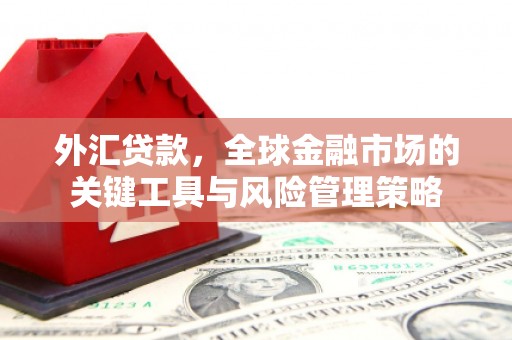 江华外汇贷款，全球金融市场的关键工具与风险管理策略