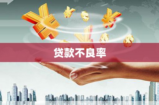 江华贷款不良率