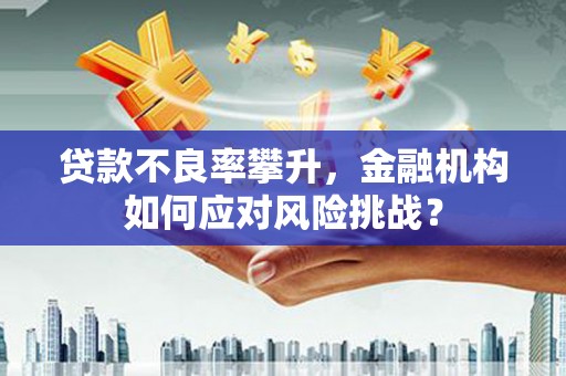 江华贷款不良率攀升，金融机构如何应对风险挑战？