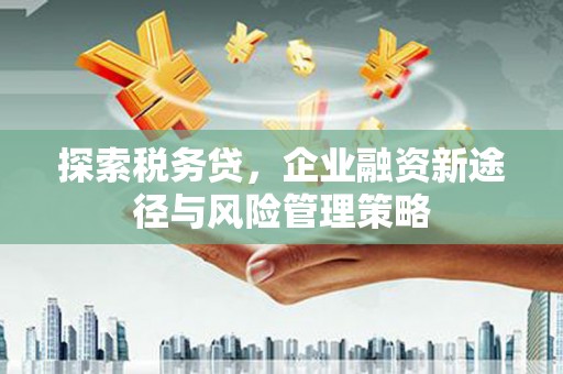 江华探索税务贷，企业融资新途径与风险管理策略