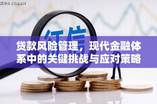 江华贷款风险管理，现代金融体系中的关键挑战与应对策略