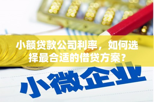 江华小额贷款公司利率，如何选择最合适的借贷方案？