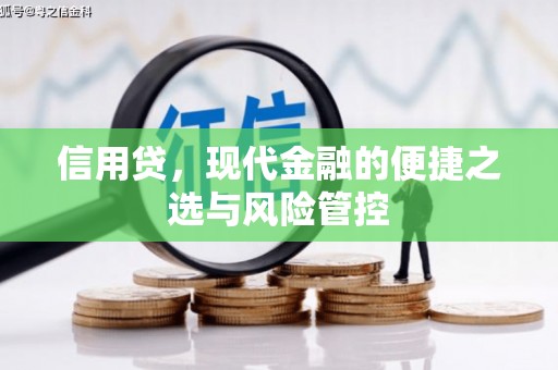 江华信用贷，现代金融的便捷之选与风险管控