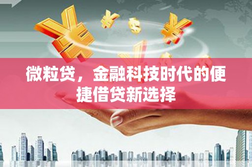 江华微粒贷，金融科技时代的便捷借贷新选择