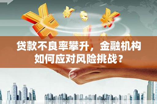 江华贷款不良率攀升，金融机构如何应对风险挑战？