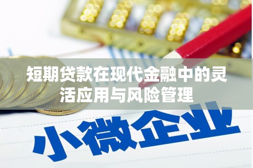 江华短期贷款在现代金融中的灵活应用与风险管理