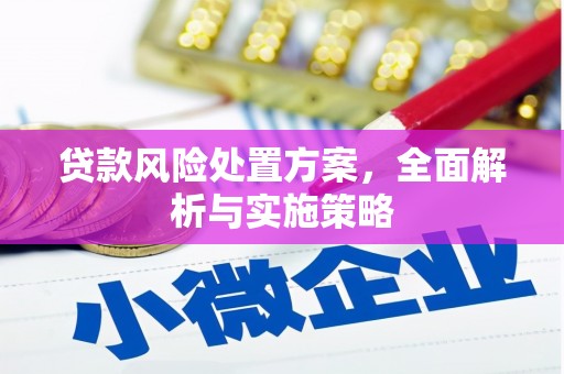 江华贷款风险处置方案，全面解析与实施策略