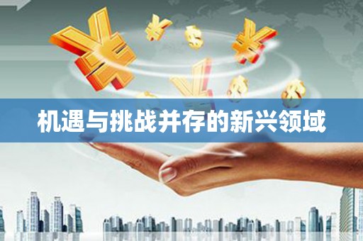 江华机遇与挑战并存的新兴领域