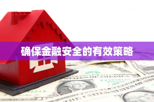 江华确保金融安全的有效策略