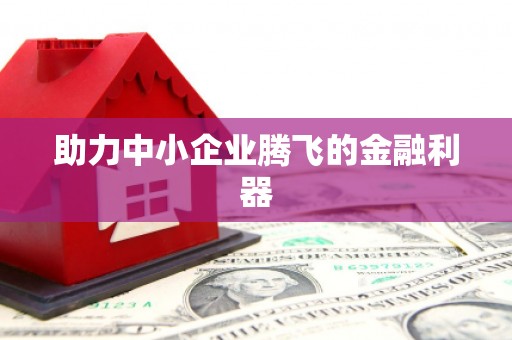 江华助力中小企业腾飞的金融利器