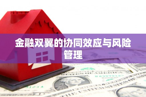 江华金融双翼的协同效应与风险管理