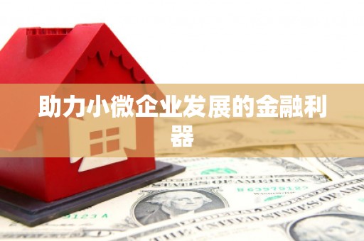 江华助力小微企业发展的金融利器